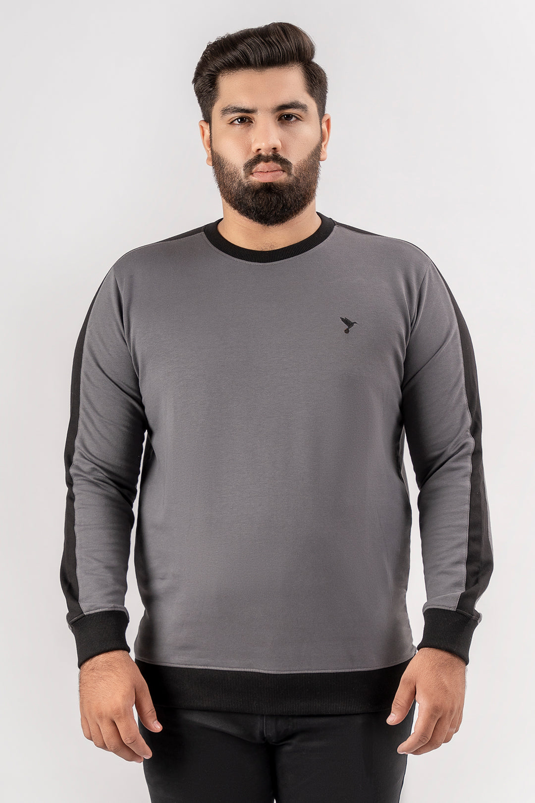 Dark Grey Cut & Sew Sweatshirt (Plus Size) - S24 - MSW095P