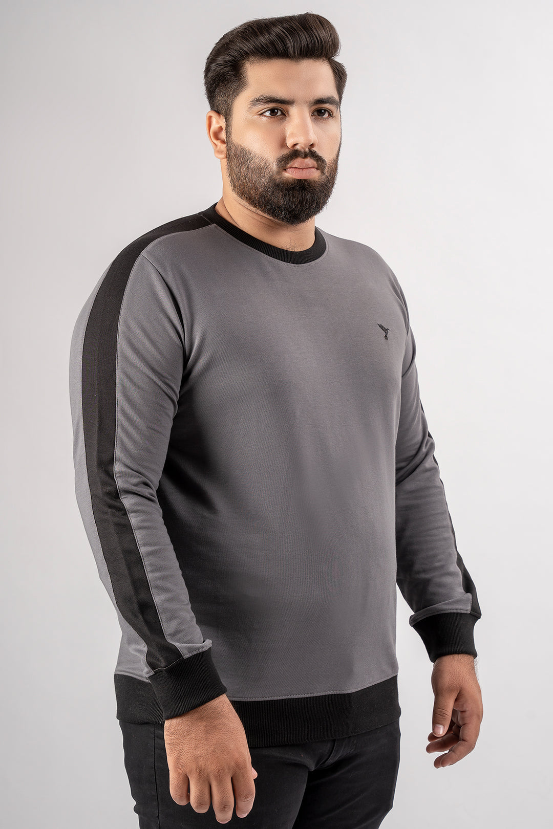 Dark Grey Cut & Sew Sweatshirt (Plus Size) - S24 - MSW095P