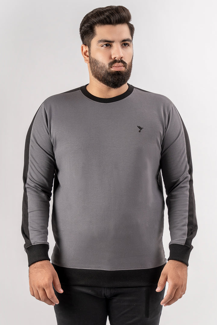 Dark Grey Cut & Sew Sweatshirt (Plus Size) - S24 - MSW095P