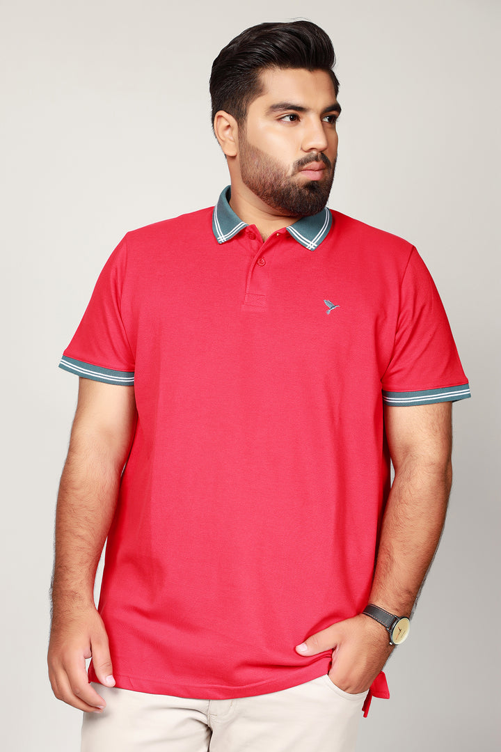 Best Plus Size Polo Shirt in Pakistan